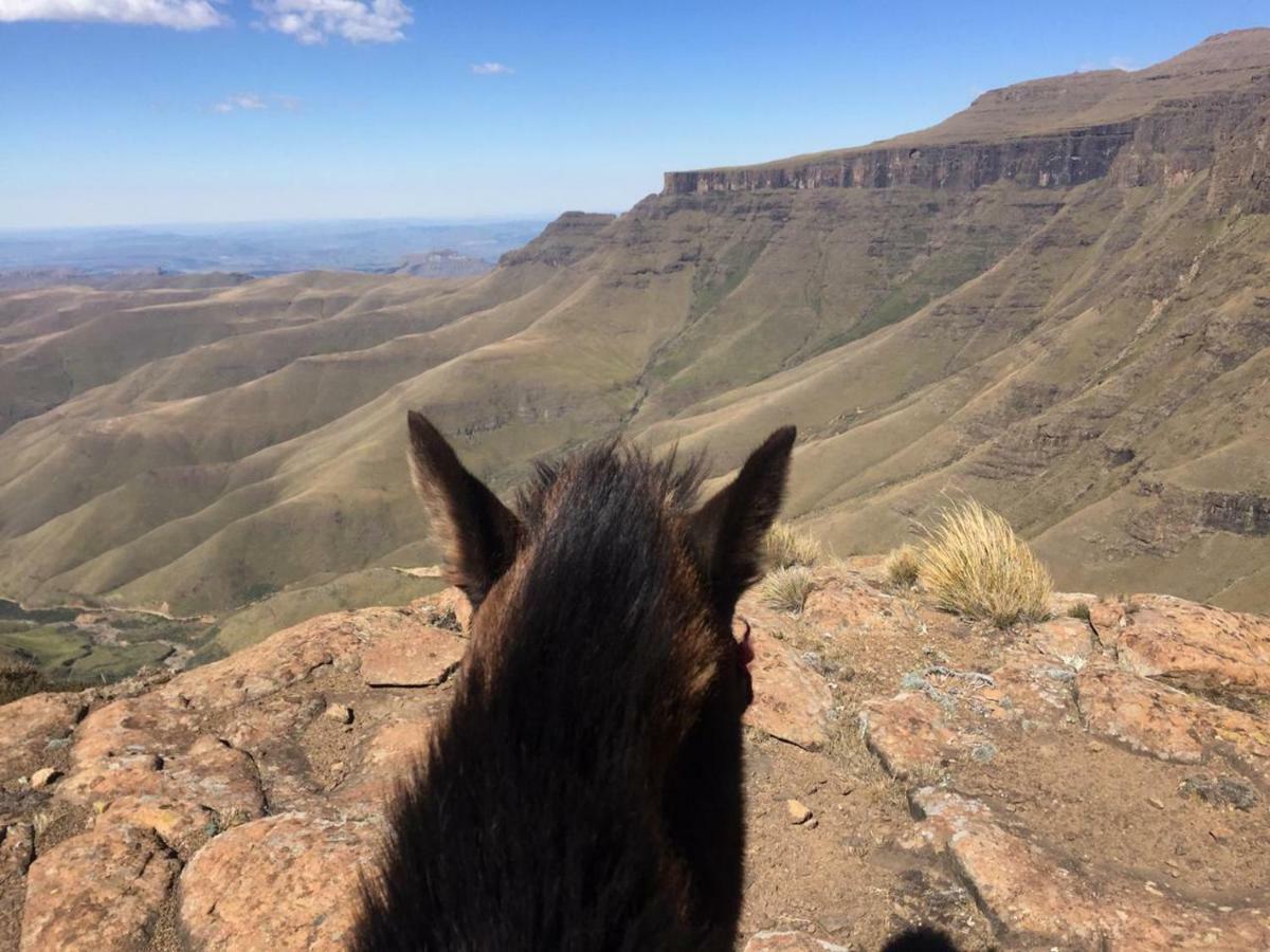 Sani Mountain Escape Hotel Mokhotlong ภายนอก รูปภาพ